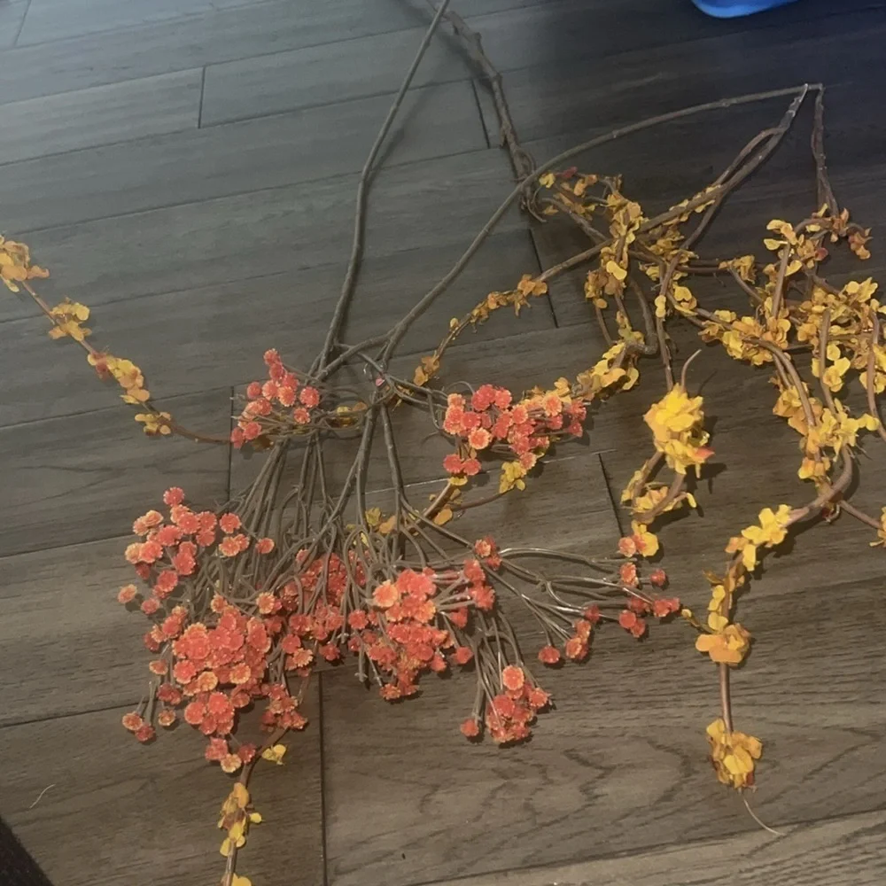 None set fall